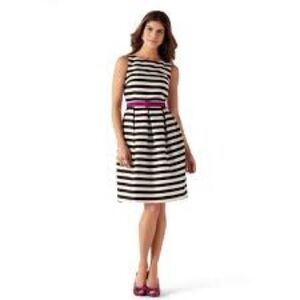 White House Black Market Black White Striped Fit & Flare Dress Purple Belt